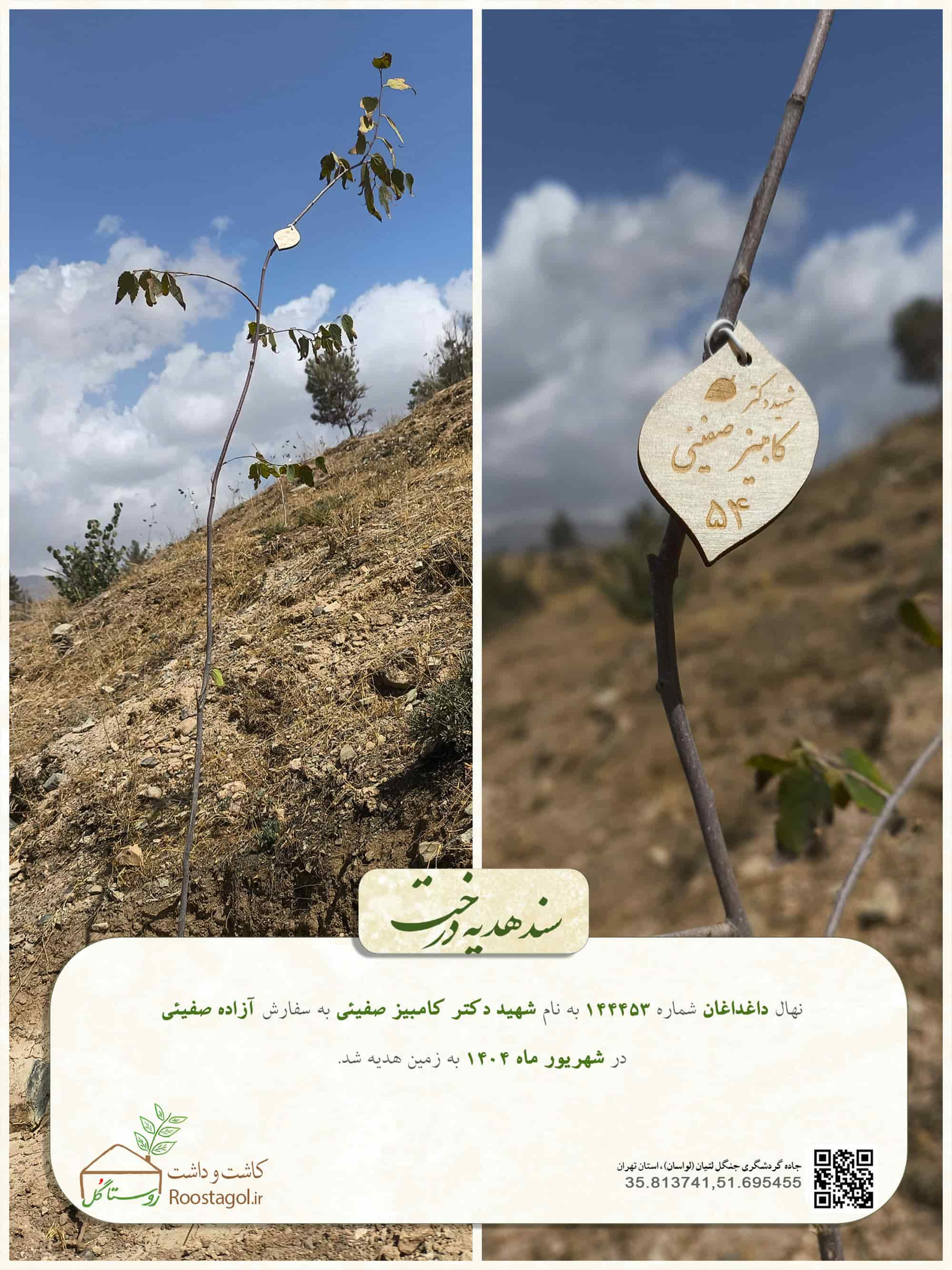 شهيد دكتر كامبيز صفيئى54